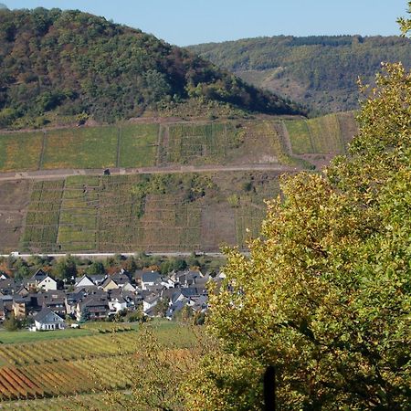 Ferienhaus Mosel Bub Bruttig-Fankel Exteriör bild